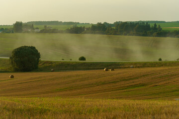 Fototapeta premium A haystack in a field against the background of beautiful clouds after the rain. Harvesting of grain crops. Harvesting straw for animal feed. The end of the harvest season. Round bales of hay