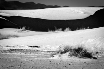 White Sands Winter