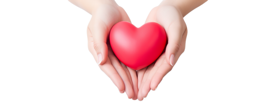 A red heart in his hands, a symbol of love. png image