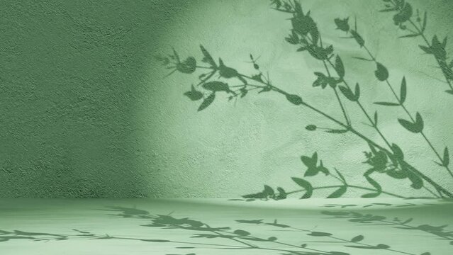 Plant tree leaf shadow gently moving by breeze on green  wall background animation loop rendering nature calm relaxing concept display product background 