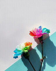 A couple of rainbow colored carnations sitting on top of a white and blue mint colored paper with...