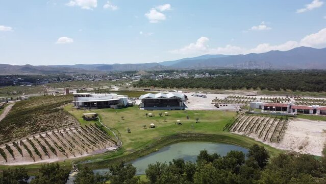 Drone footage of a wine house, what a view of the wineyard