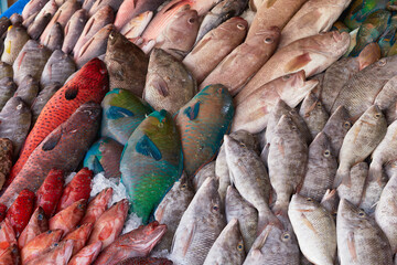 Fresh raw caught fishes on ice sale at fish market. Seafood pattern