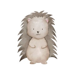 Grey watercolor hengehog. Cartoon digital illustrator with hengehog