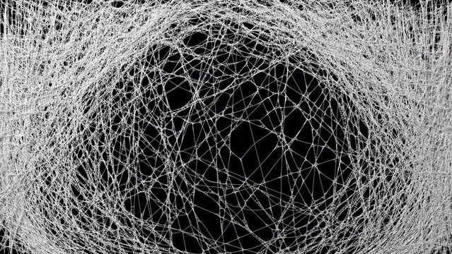 Cobwebs Weaves and Fill the Black Screen, Beautiful Transition, Realistic 3D Animation, 4K 3840x2160