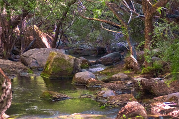 Scenic Waterfall in Southern Patagonia: Nature's Majesty Unveiled