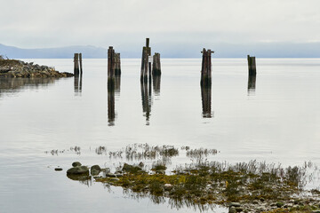 View of old piles that were once part of a wharf on a very calm serene ocean at dusk.