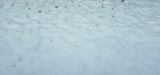 snow on a field.