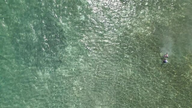 Two fly fisherman fishing for school of bonefish hunted by barracuda, caribbean sea