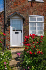 Fototapeta na wymiar Blooming red roses in front of a brick town house with a white door and window