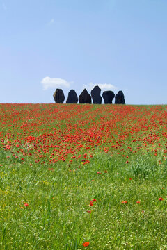 landscape with field of poppies clouds and sky with sculptures by sciola. Ozieri, Sardinia Italy