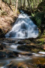 Vertical shot of a waterfall with long exposure in a forest