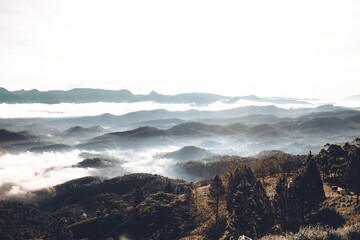 Obraz premium Picturesque view of rolling hills and a misty fog in the background.