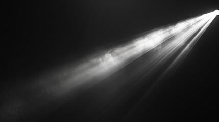 Light creamy white waves gracefully dance on a backdrop of deep black, creating a mesmerizing contrast