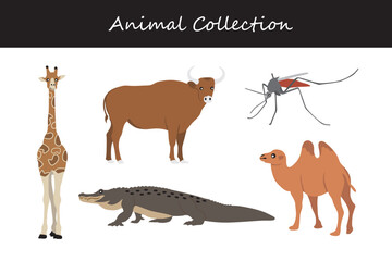 Animal collection. Cartoon style. Vector illustration isolated on white background.