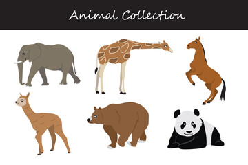Animals collection. Vector illustration on white background. Flat style.
