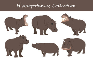 Hippopotamus vector illustration set. Hippopotamus cartoon character.
