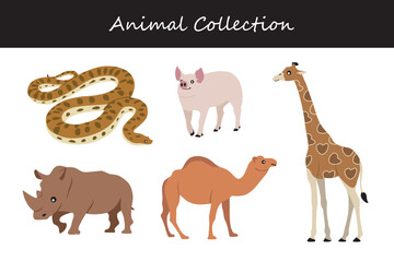 Obraz premium Animals collection. Vector illustration of a set of wild animals.