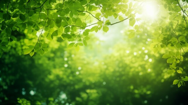 森林と陽光（Generative AI）