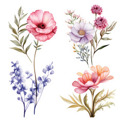 Vector of a vibrant watercolor painting of a bouquet of colorful flowers on a white background