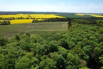 Wälder und Felder bei Rattey im Mai 2023