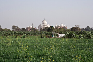 AGRA, UTTAR PRADESH / INDIA - FEBRUARY 27, 2012 : REAR VIEW OF A TAJ MAHAL FROM THE FARM.