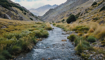 A tranquil river flows through a mountainous valley.