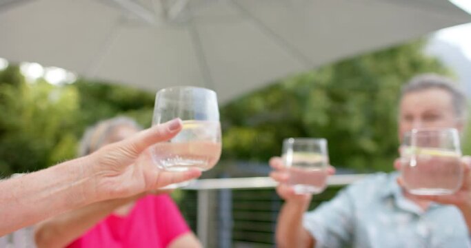 Senior friends toast in an outdoor setting, with copy space