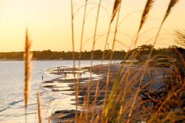 sunset on Solis beach, with some people still swimming in the sea, and some thistles in the...