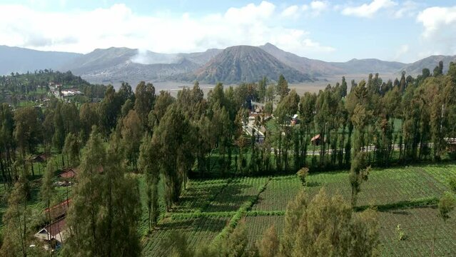 Discover the charming village nestled against the majestic backdrop of iconic Mount Bromo. A picturesque retreat where traditional charm meets breathtaking natural beauty. aerial 4k drone footage