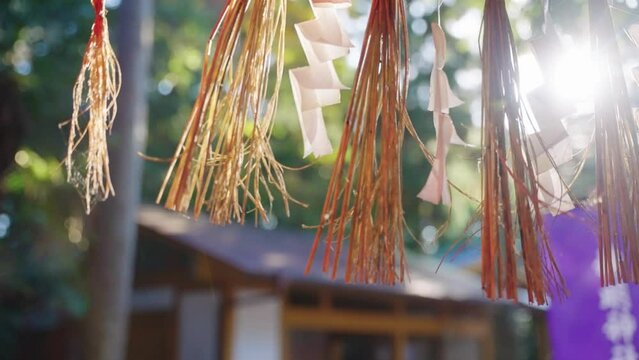 Rays of Light Through Sacred Japanese Torii Gate, Shinmei Jinja 4k