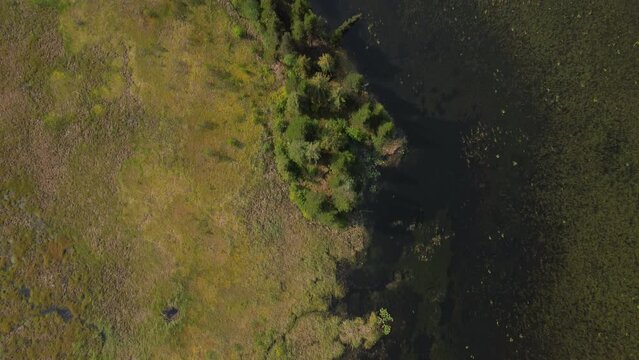 Aerial Top Down Drone View Over Seeley Lake Provincial Park, Smithers, Canada.