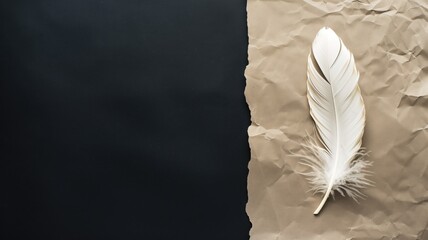 A single white feather on crumpled brown paper
