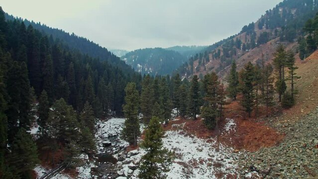 mountain valley with trees and snow, push in drone shot. drung, jammu and kashmir, india