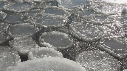 Winter nature monochrome: White ice pans float on frozen sea surface