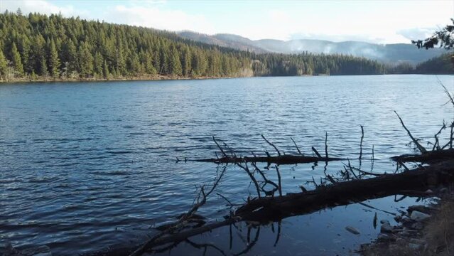 Golden Splendor: Duffy Lake Amidst the Pines