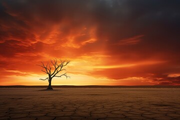 Tree at Sunset. Lone Tree Against Dramatic Sunset Sky