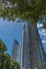 Puerto Madero's corporate buildings, an urban skyline reflecting business prosperity