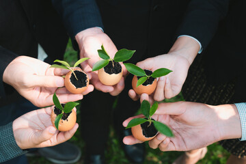 Group of business people holding repuposed eggshell transformed into fertilizer pot, symbolizing...