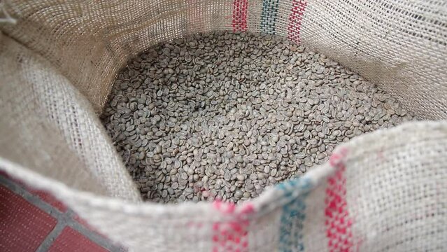 Unroasted coffee beans in a large storage sack
