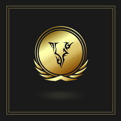 Letter V, luxury, golden frame and golden color