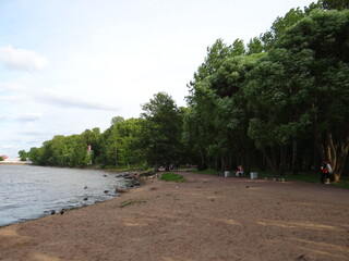 On the banks of the forest