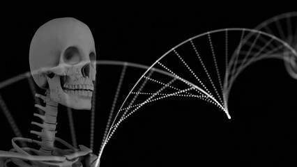 Animation of skeleton over dna strand - Powered by Adobe