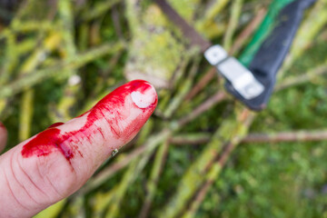 blutende Verletzung am Finger bei der Gartenarbeit