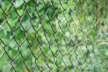 Vadodar, Gujarat / India - September 4, 2012 : Wire mesh and plants in the garden during monsoon.