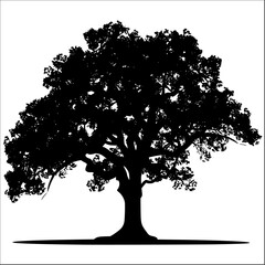 tree silhouette isolated on white