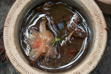 Vadodara, Gujarat / India - July 10, 2012 : A flower in the pot in monsoon season.