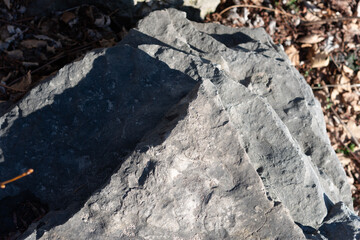 edge of a stone by the lake