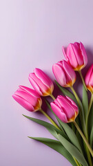 pink tulips on soft purple background, vertical format