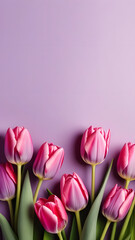 tulips on lavender background, instagram, story format